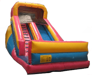 20 Foot Pink Slide