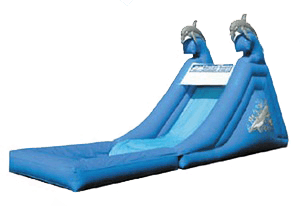 Dolphin Water slide
