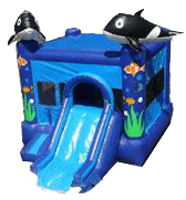 Sea World w/ Slide and BB Hoop