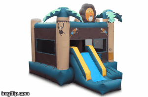 Lion w/ Slide and BB Hoop