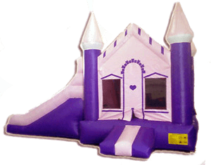 Pink Princess 4 in 1 Combo