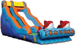 Big Kahuna Slide