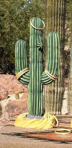 Cactus Ring Toss