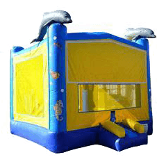 Dolphin 6 in 1 Combo