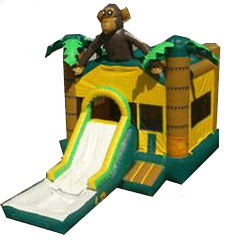Monkey w/ Slide and BB Hoop and Water Tub