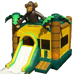 Monkey w/ Slide and BB Hoop