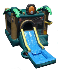 Lion Jump w/ Slide and BB Hoop with Water Tub