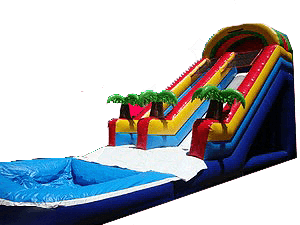 20ft Palm Tree Water Slide