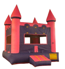 Pink Castle 5 w/ hoop