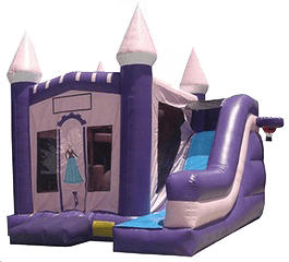 Princess 6 in 1 Combo