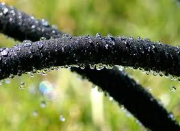Misting/Drip hose
