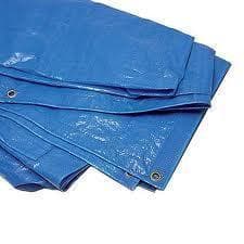 Tarp