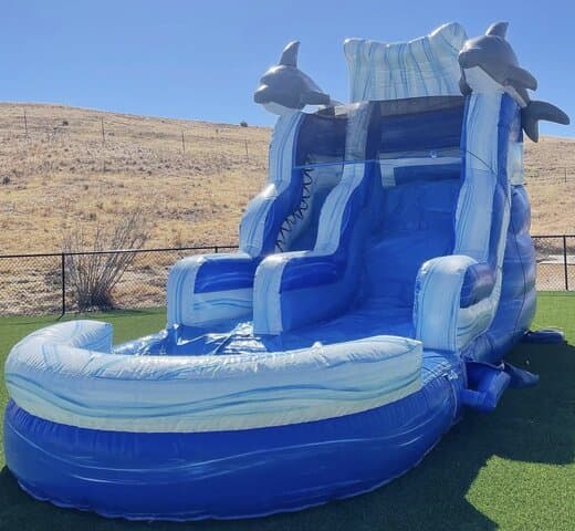 16' Dolphin Slide WET