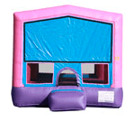 Pink and Purple Module 13