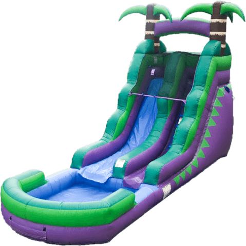 Purple Palms 16Ft-WET