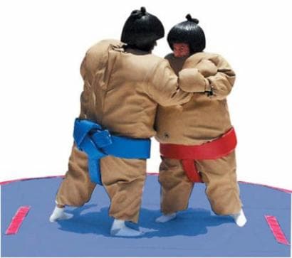 Adult Sumo Suits Rental