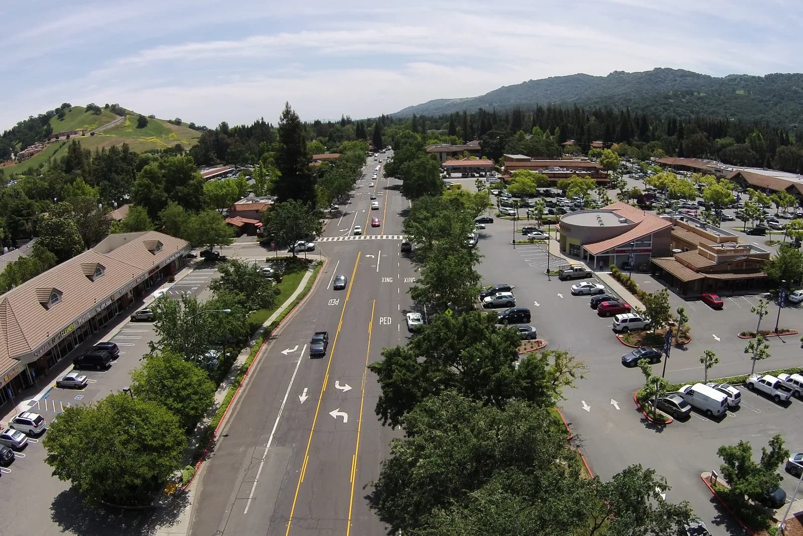 Bounce House Rentals in Alamo