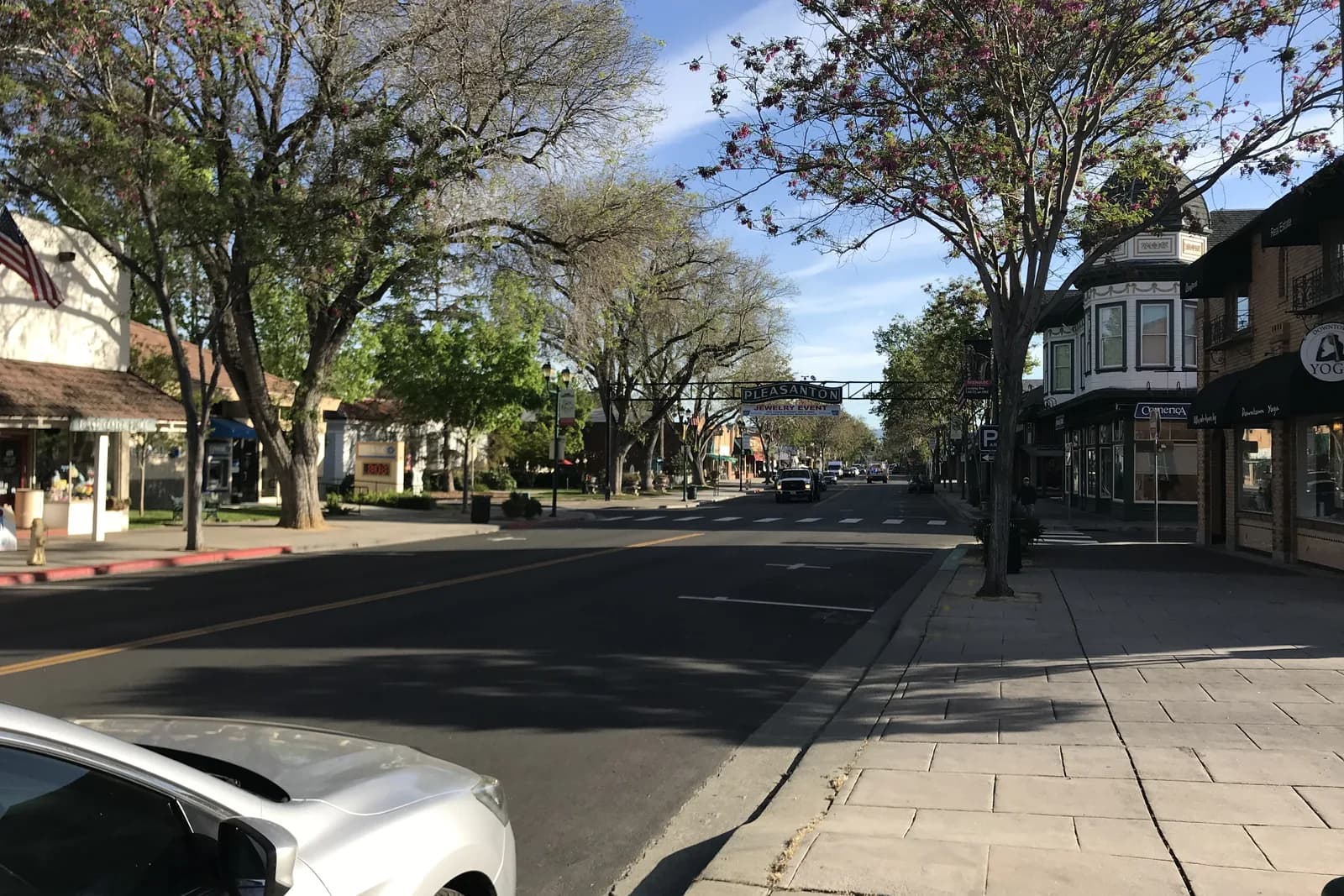 Bounce House Rentals in Pleasanton