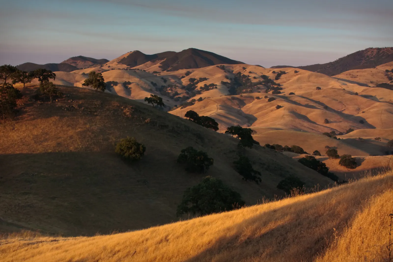 Bounce House Rentals in Walnut Creek