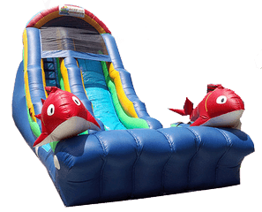 18ft Fish Dry/Wet Slide
