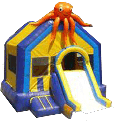 Octopus w/ Slide and BB Hoop