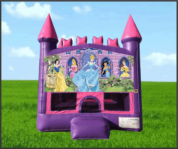 Pink Castle Disney Princess 13x13